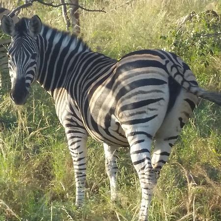 Rio Dos Elefantes River Camp Hoedspruit Eksteriør billede