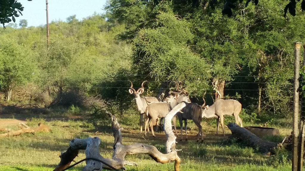 Rio Dos Elefantes River Camp Hoedspruit Eksteriør billede
